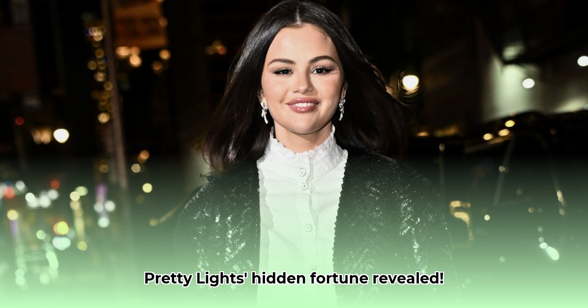 pretty-lights-net-worth